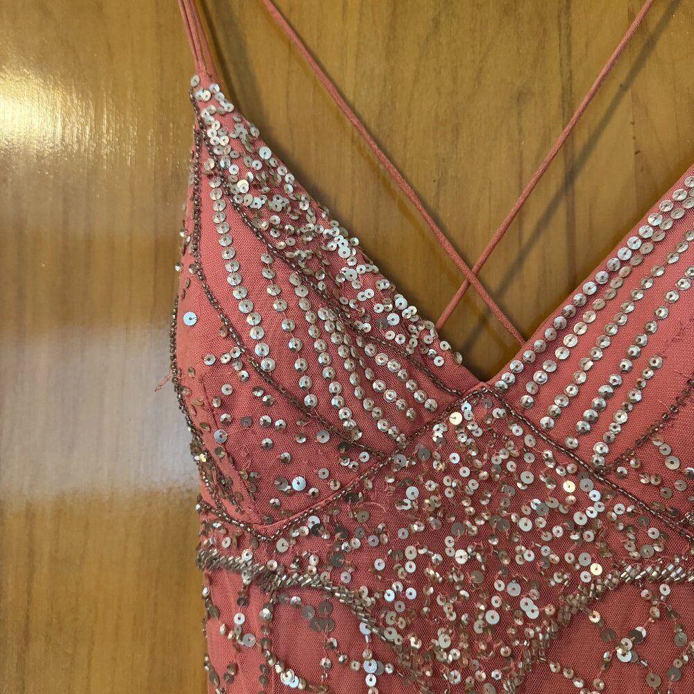 Adrianna Papell Pink Beaded Gown